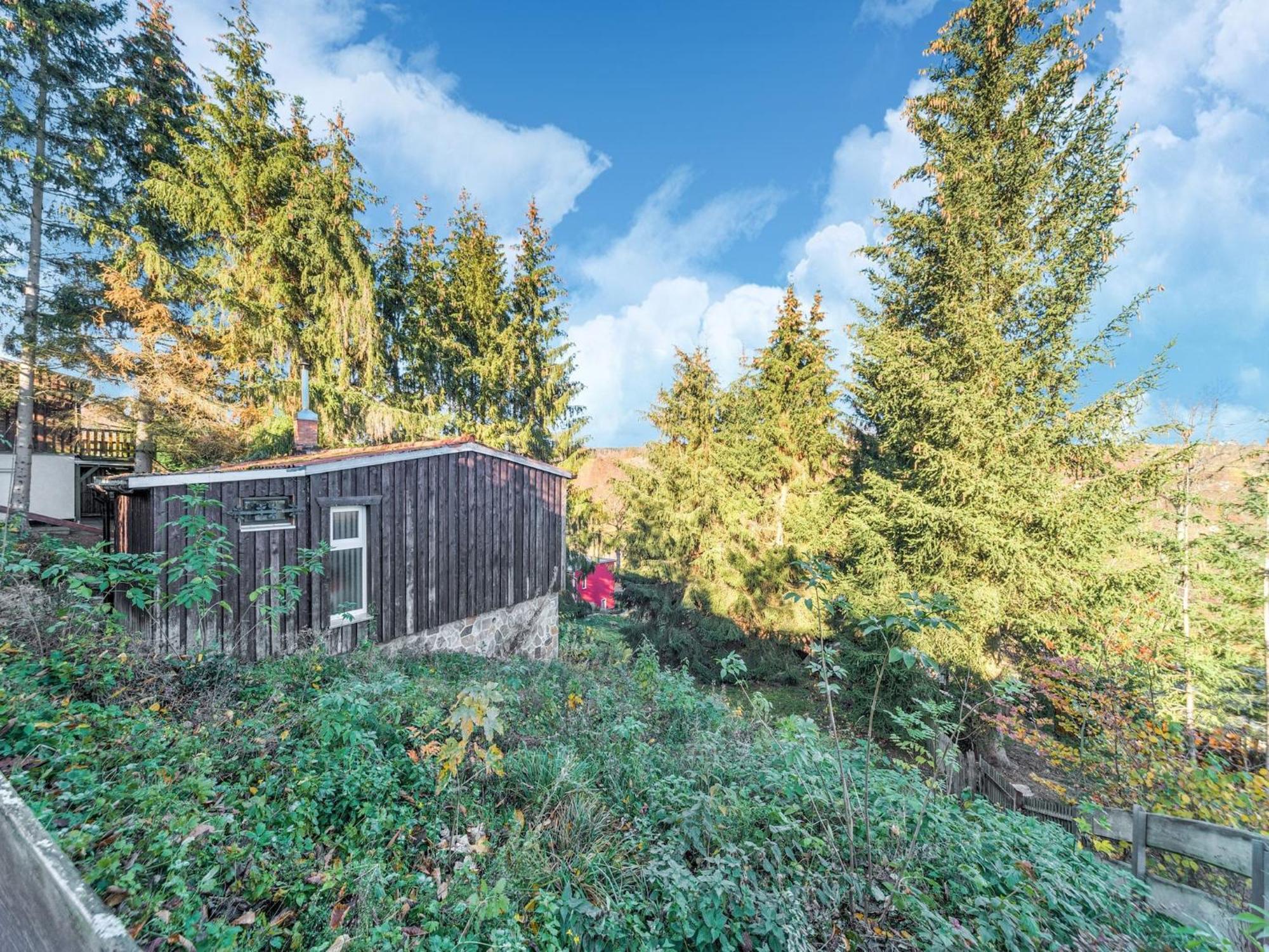 Comely Holiday Home In G Ntersberge Near Forest Guntersberge Екстер'єр фото