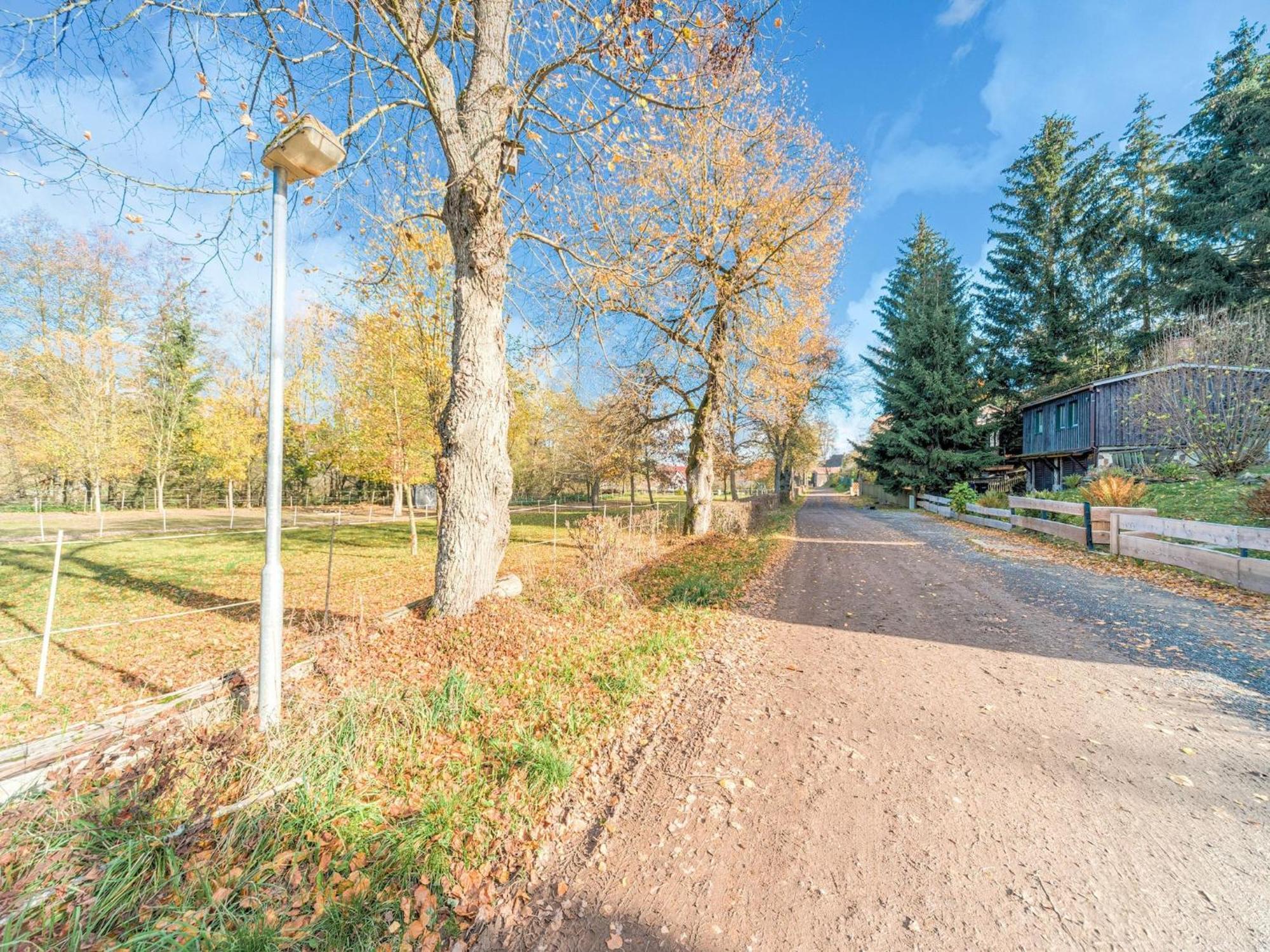Comely Holiday Home In G Ntersberge Near Forest Guntersberge Екстер'єр фото